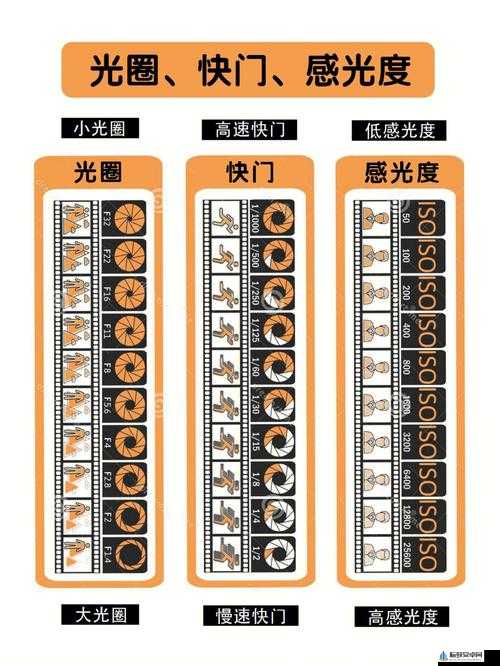 摄影艺术入门指南：初学者的必备手册