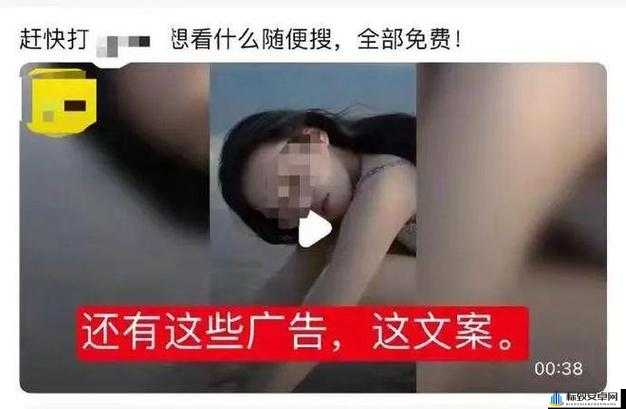 911 爆料网八卦有理：深挖猛料，揭秘真相