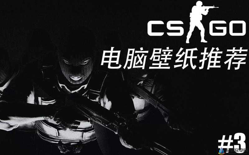 高清大片 csgo 类型多多：等你来体验