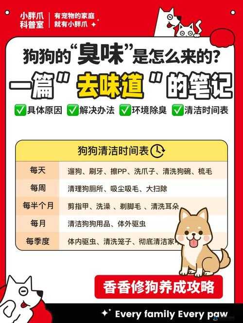 狗狗的东西又硬又烫又臭怎么办：快来看看解决办法