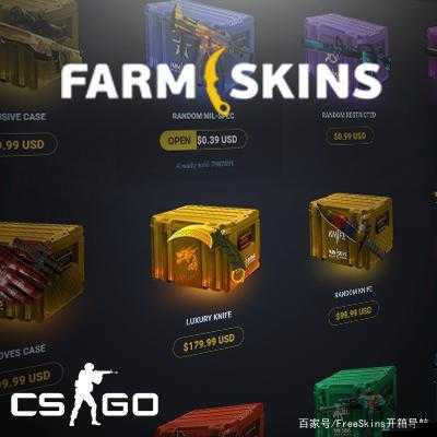 FARMSKINS 进不去：该如何解决