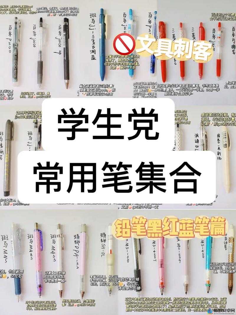 13 岁能放几个笔：探究青少年文具容纳数量