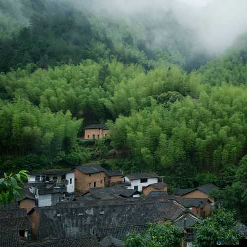 山里人家 40-80：乡村生活的宁静与美好