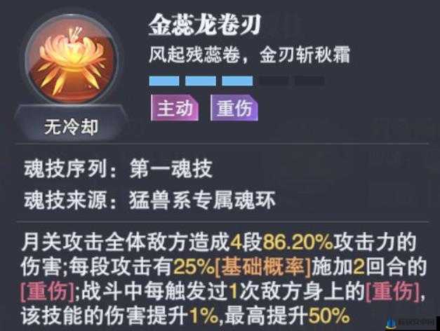 斗罗大陆之魂师对决：月关表现解析