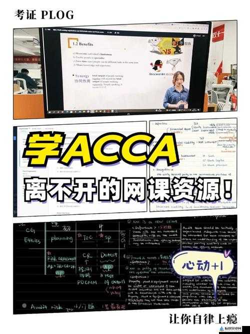 ACCA 少女网课韩国相关内容