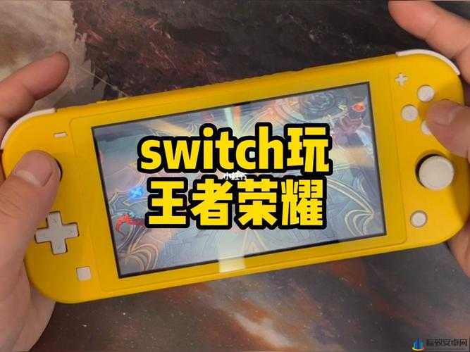 王者荣耀 Switch 国际版游戏名称详细介绍及相关信息一览