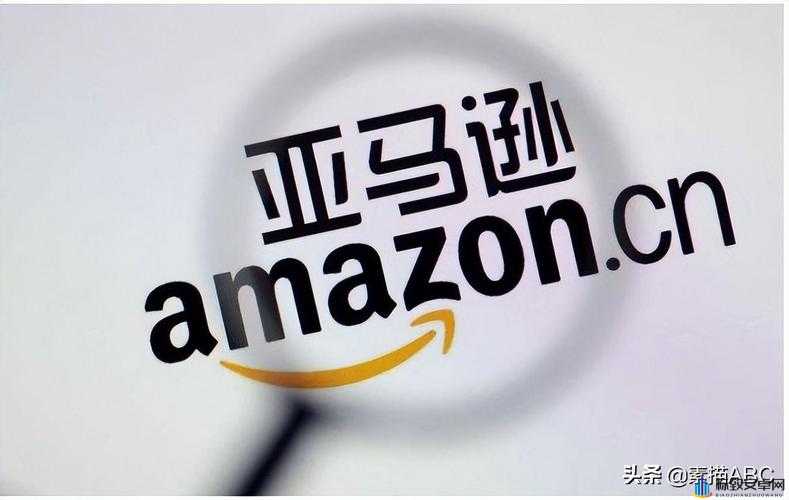 AMAZON 欧洲站、日本站：跨境电商新机遇