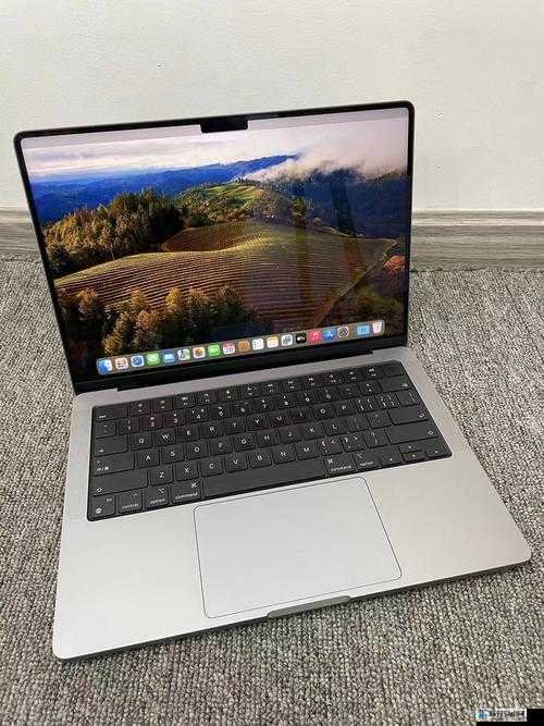 1316 岁 MacBook Pro 免费享