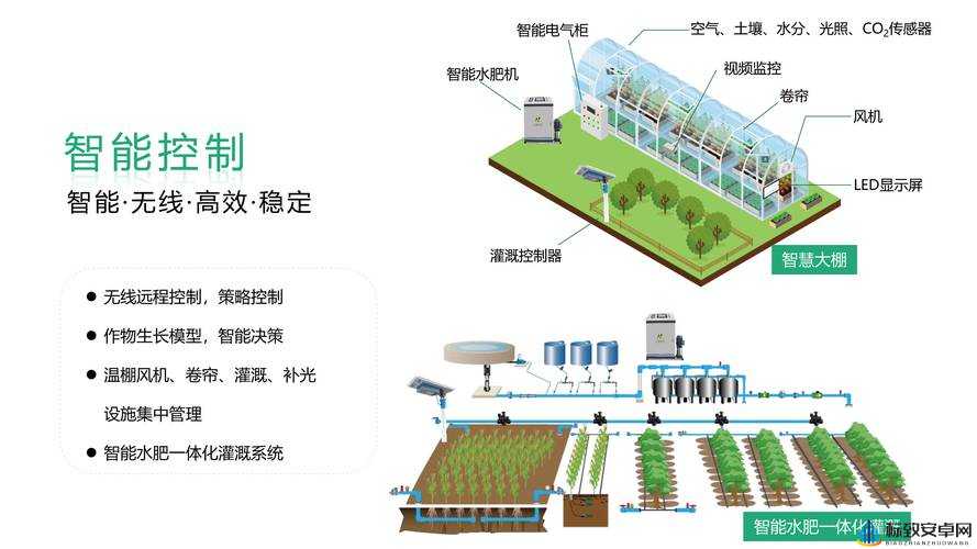 智能灌溉系统：应照离的创新成果