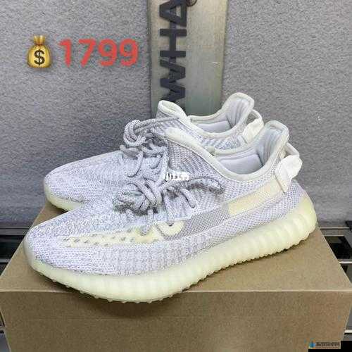 yeezy 蜜桃满天星：售价 8999 元