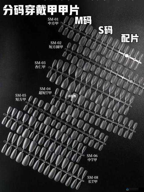 欧亚专线 S 码与 M 码区别图片展示