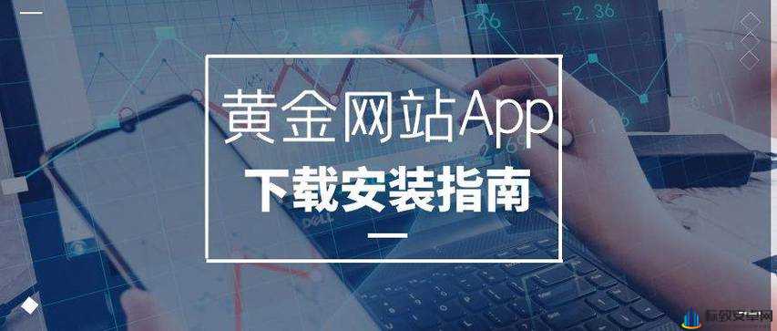 黄金网站APP 视频播放画质选择：多种模式等你选