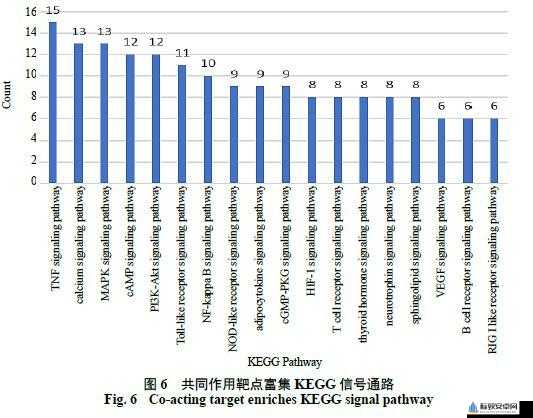 成色p31s是国精产品吗：相关探讨