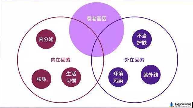 成品人、精品人区别分析：内在与外在的差异