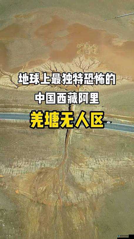 无人区码一码二码三码是什么 ww：探险者的禁地