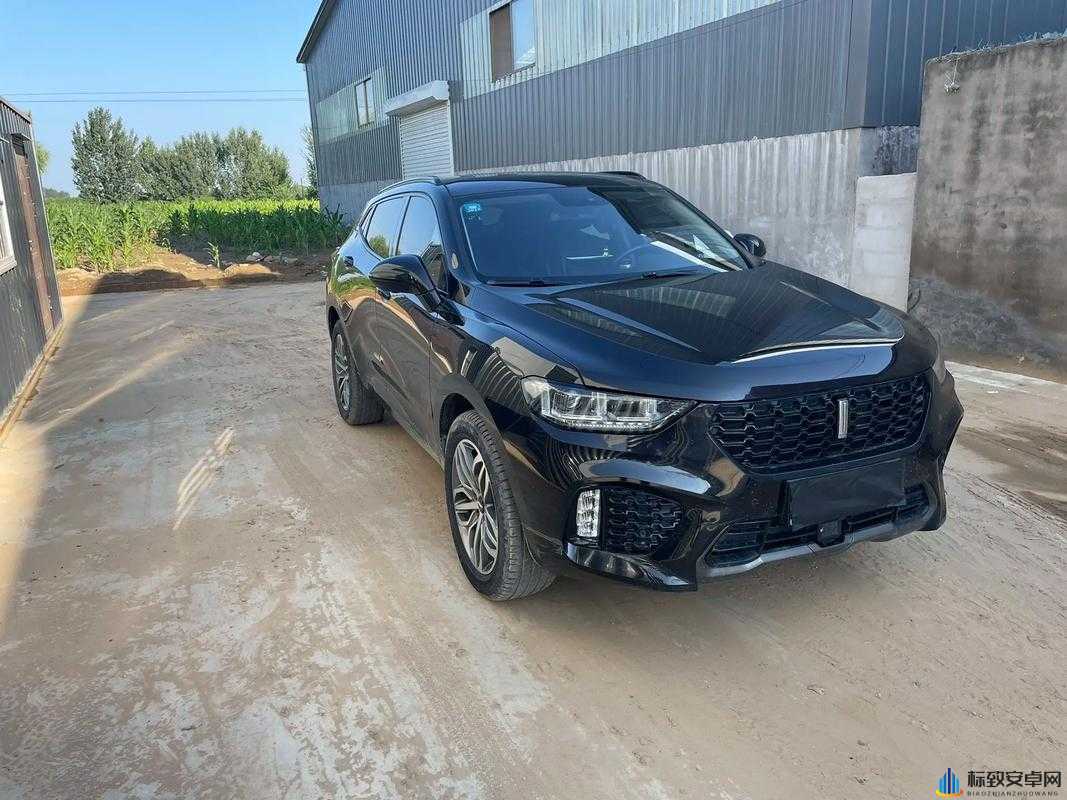 WEY VV5 国产的 SUV 视频：展现卓越性能