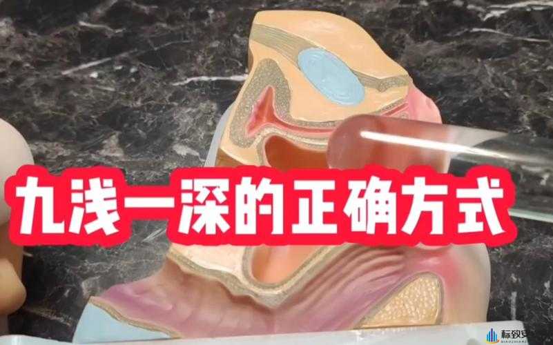 九浅一深和九深一浅哪个好：姿势技巧探讨