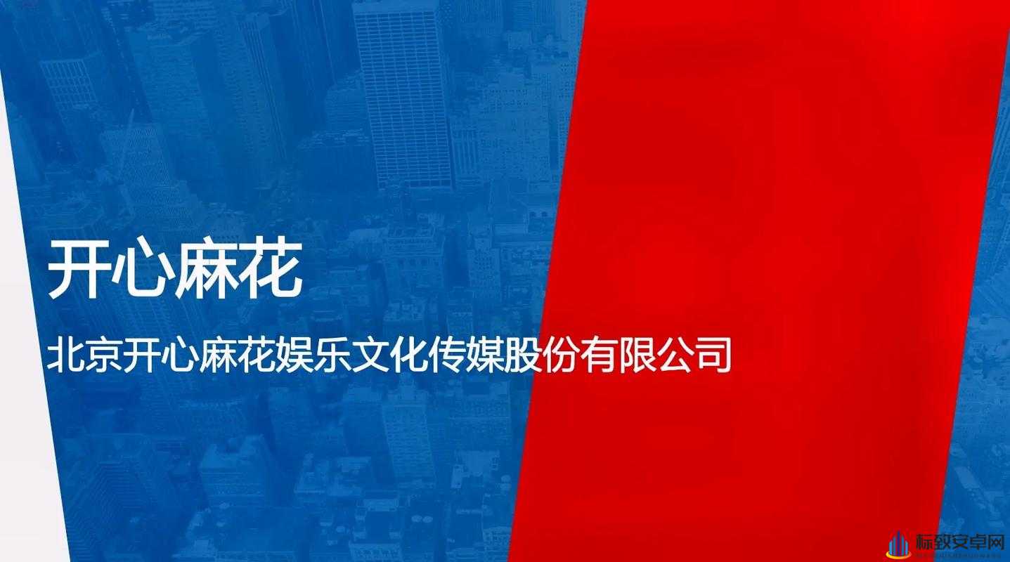 麻花传媒 CEO 相关事件引发关注