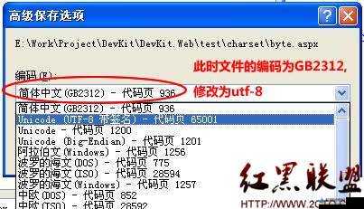 日文编码系统与乱码关系解析之深度探究