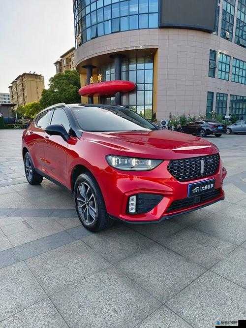 weyvv5 国产的 suv 最新视频评测：全面解析