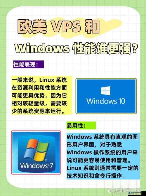 欧美 VPS 与 Windows 性能比较分析