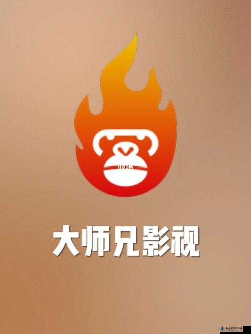 大师兄影视大全：免费畅享海量电视剧