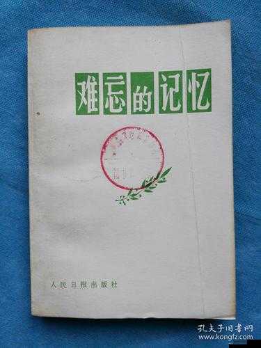 中文在线っと好きだった：难忘的记忆