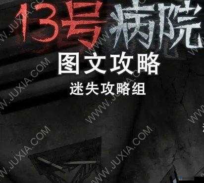 终极攻略秘籍：号病院游戏完全解析与通关策略指南