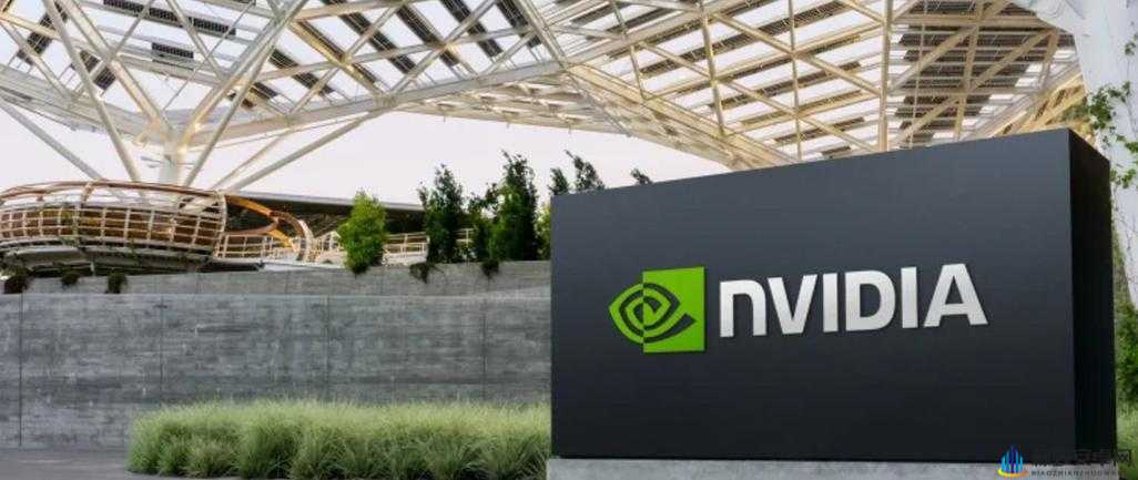 NVIDIA 都成世界第一了：这也太牛了