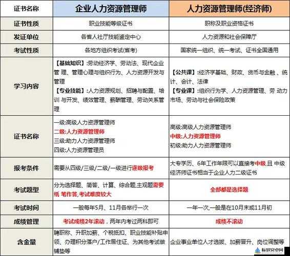 久久人力资源 VS 普通版：优劣对比探讨