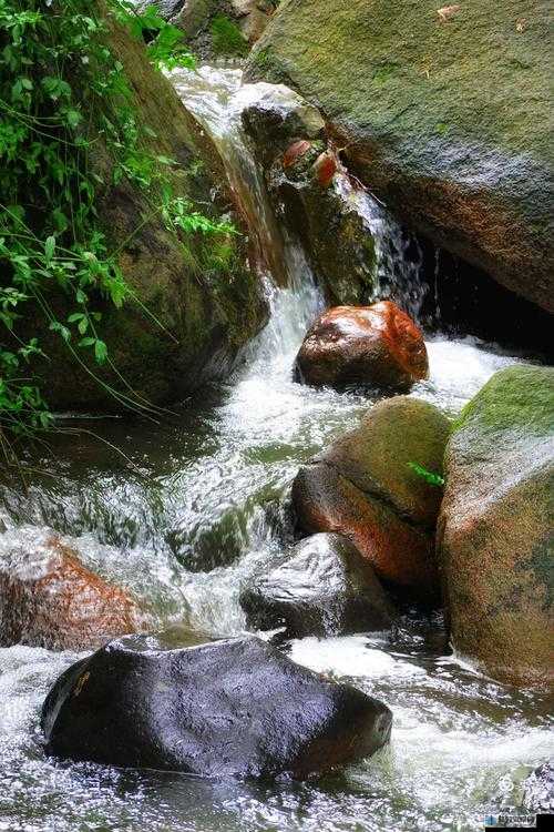 黄龙直捣，溪水潺潺：探寻自然奇观