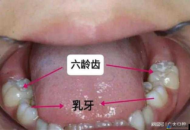 一体六交的具体 6 个地方是什么