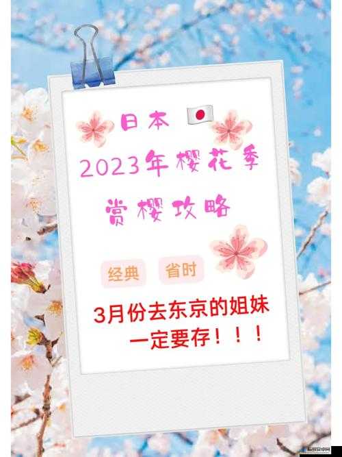 樱花官网官方入门网站 2023：打造全新视觉体验