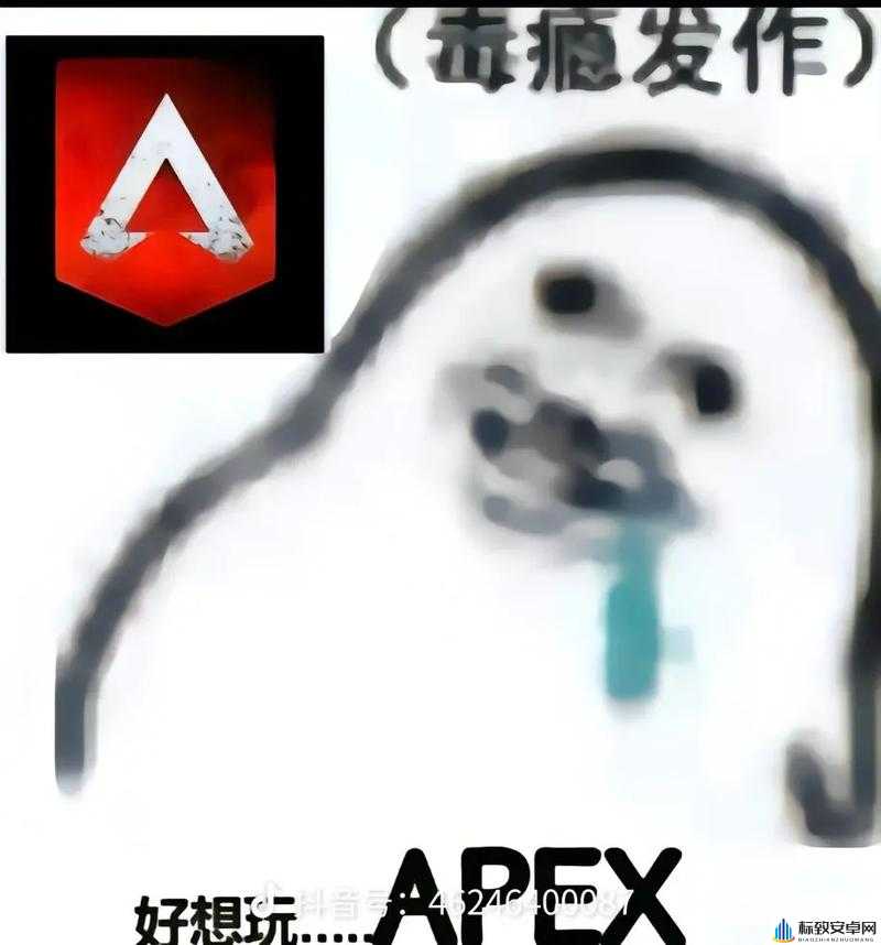 老婆不在家：快来玩 apex