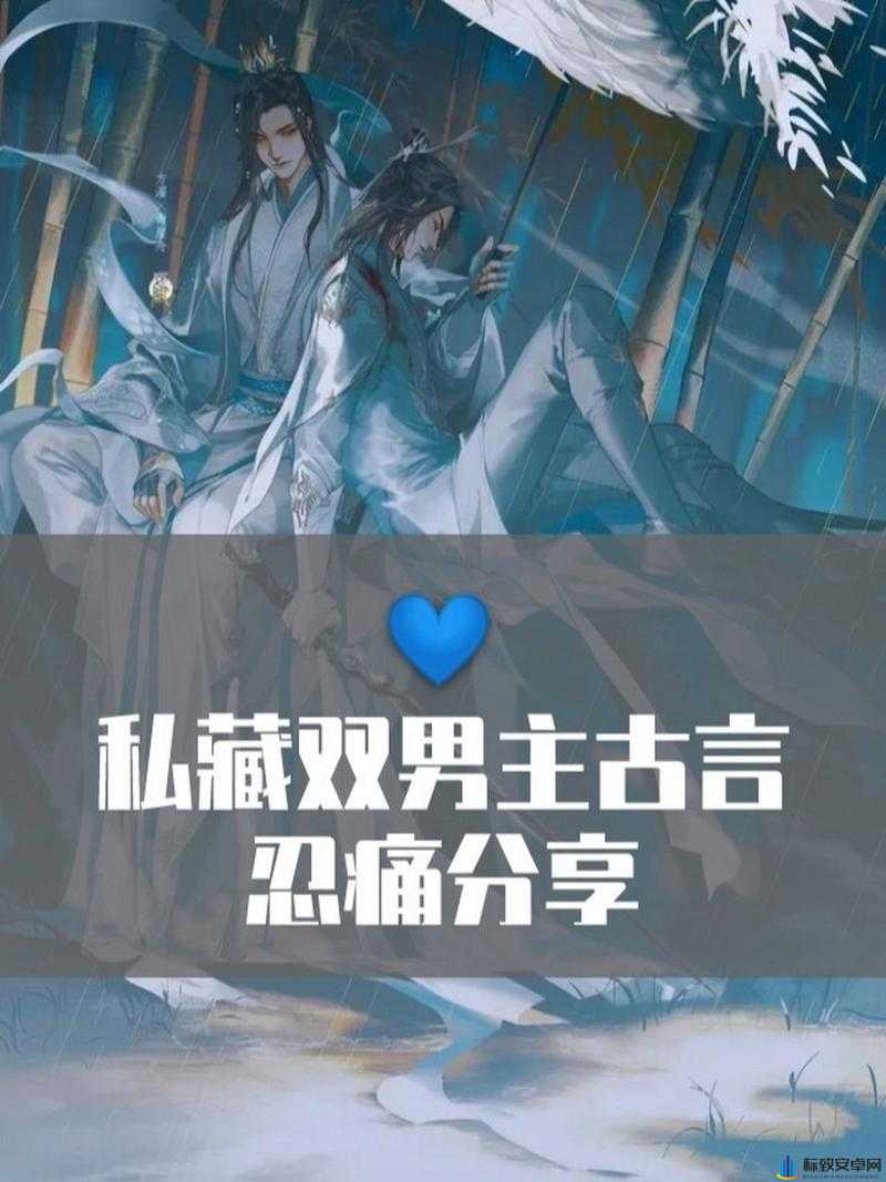 古言 1v2：双男主的爱恨情仇