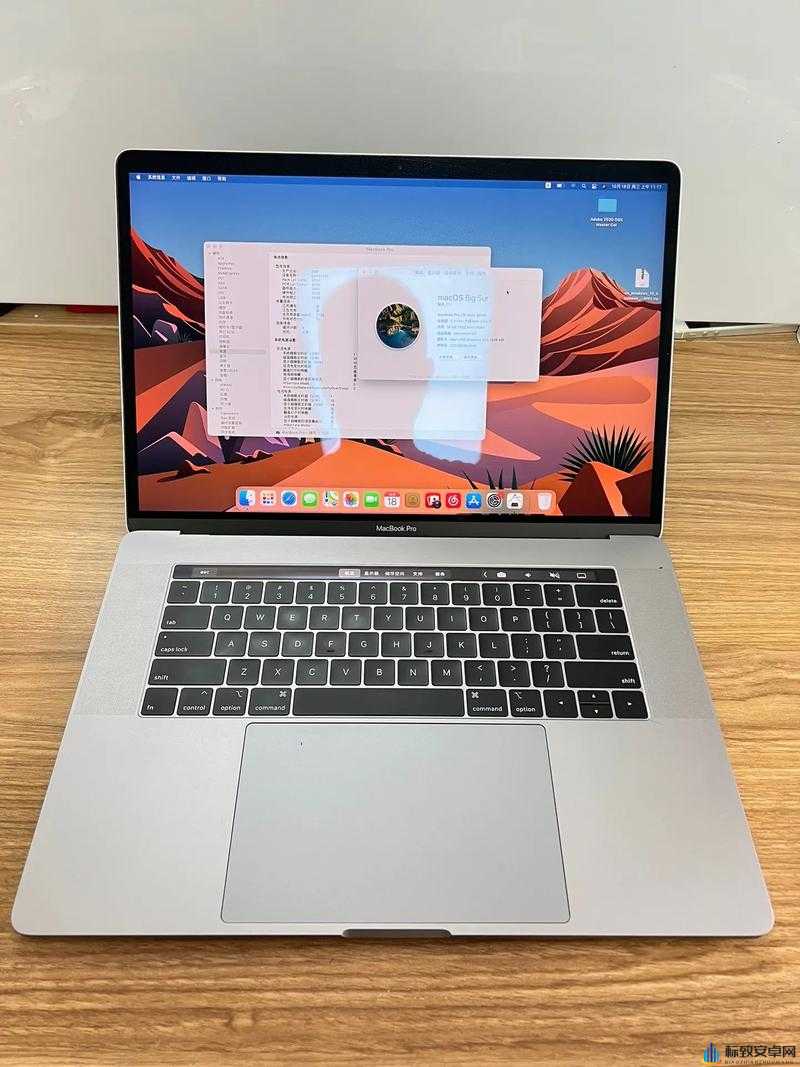 18 岁 macbookpro 高清功能：呈现极致视觉体验