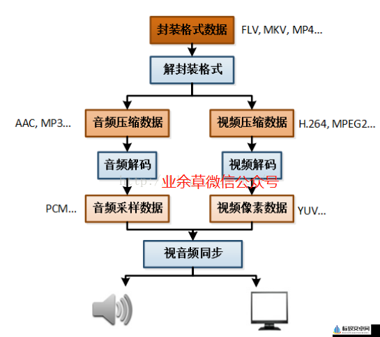 VIDEOCODECWMVIDEODECODER 技术原理与应用