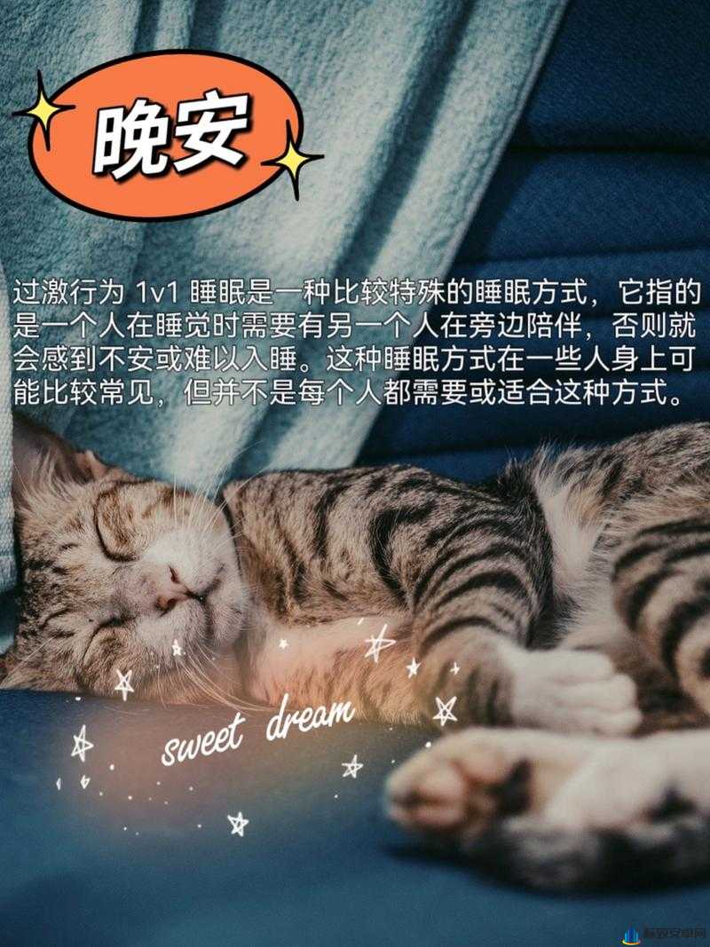 过激行为 1v1 睡眠对我很重要吗：到底有多重要